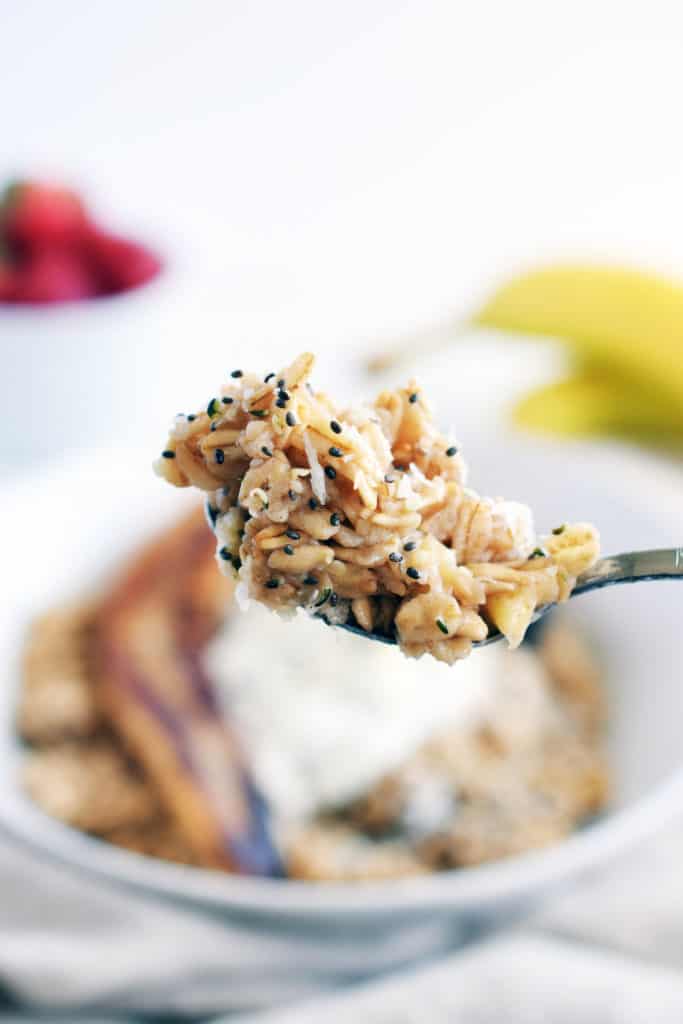 close up detail of oatmeal on spoon