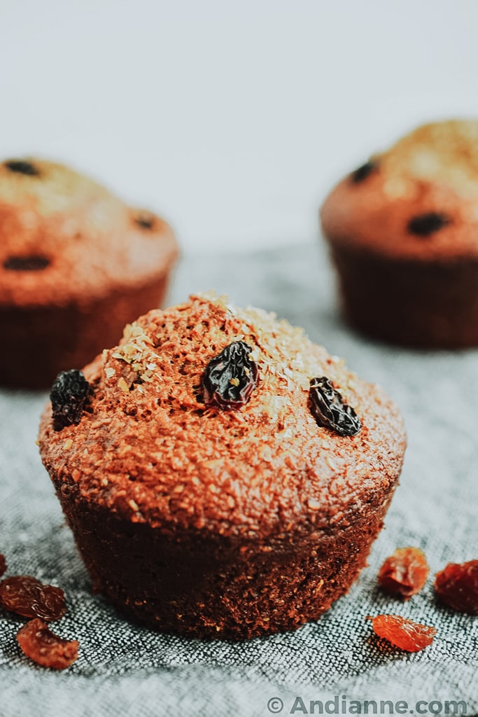 classic raisin bran muffins close up detail