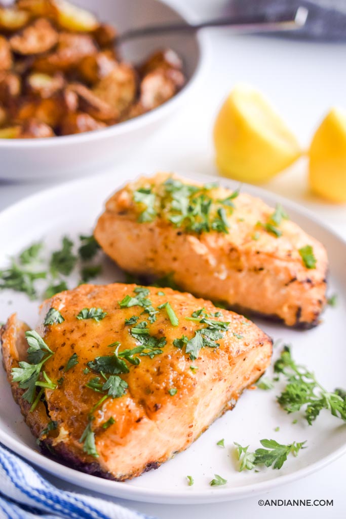 air fryer salmon on a white plate