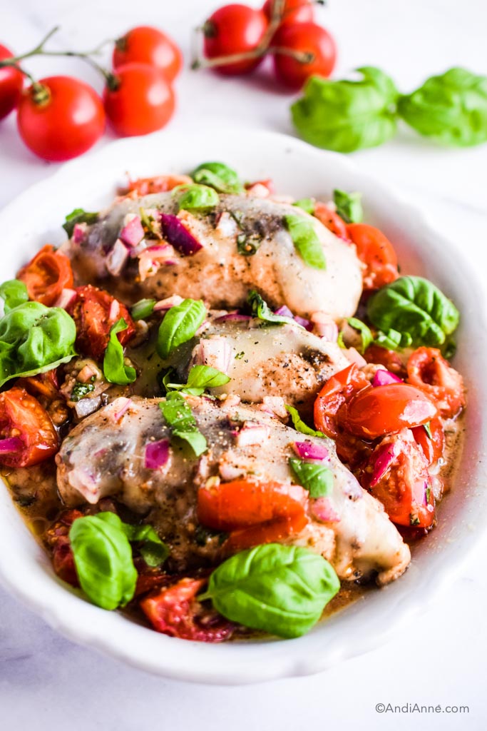 bruschetta chicken on white plate with tomatoes on vine and basil leaves in background