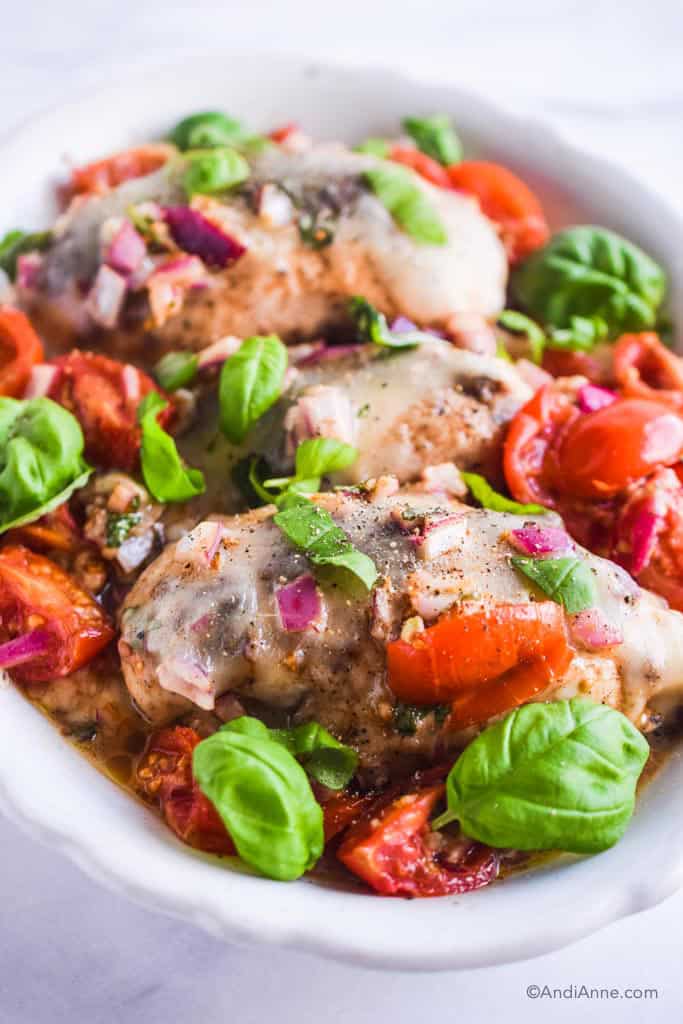 close up of bruschetta chicken breasts with melted mozzarella, chopped tomatoes, basil pieces, and chopped onions in a white plate.