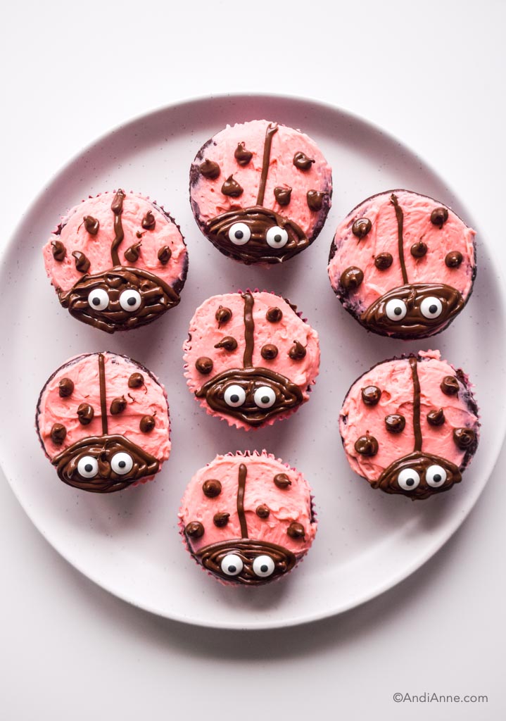 ladybug cupcakes on a white plate