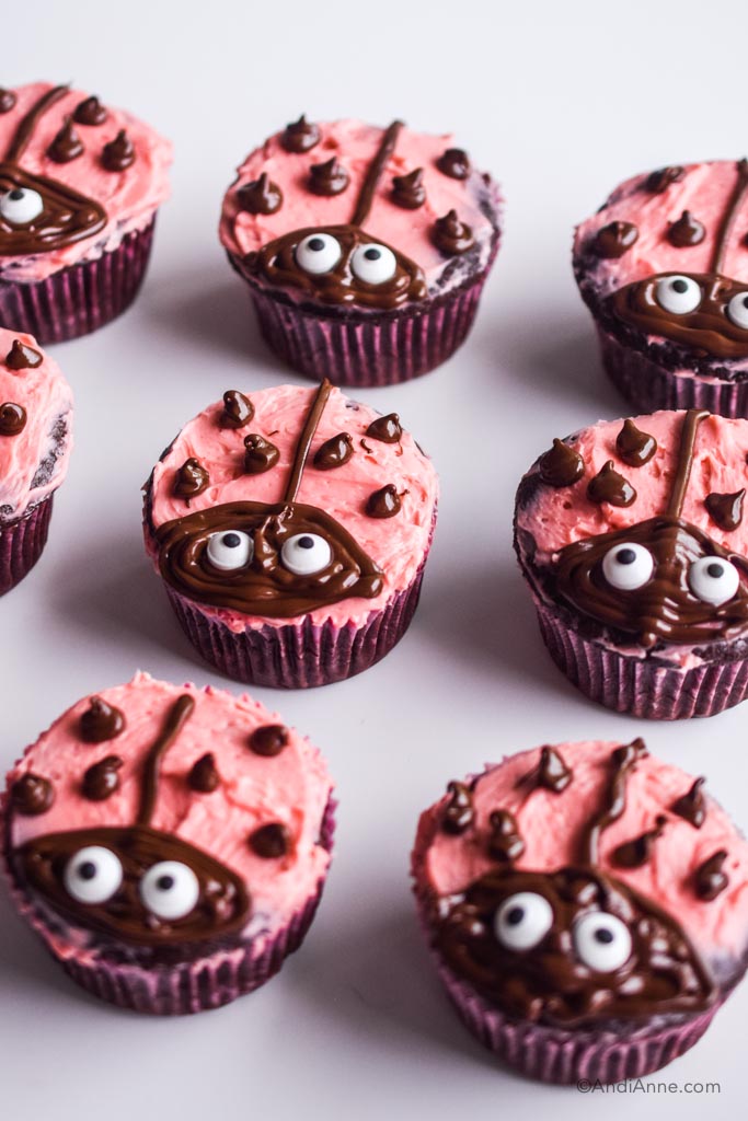 ladybug cupcakes with chocolate designs and pink icing