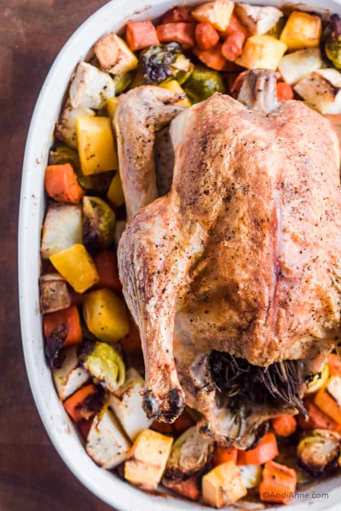 crispy roasted chicken in white casserole dish with chopped brussels sprouts, rutabaga, turnips, and carrots.