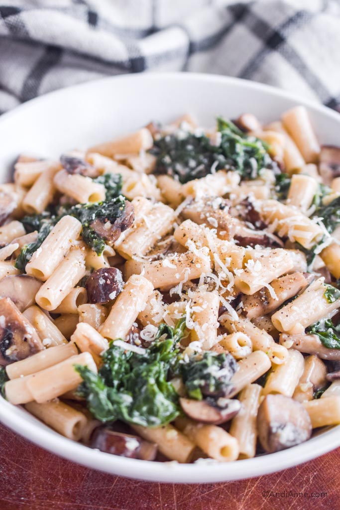 Detail of mushroom kale pasta with freshly grated parmesan cheese.