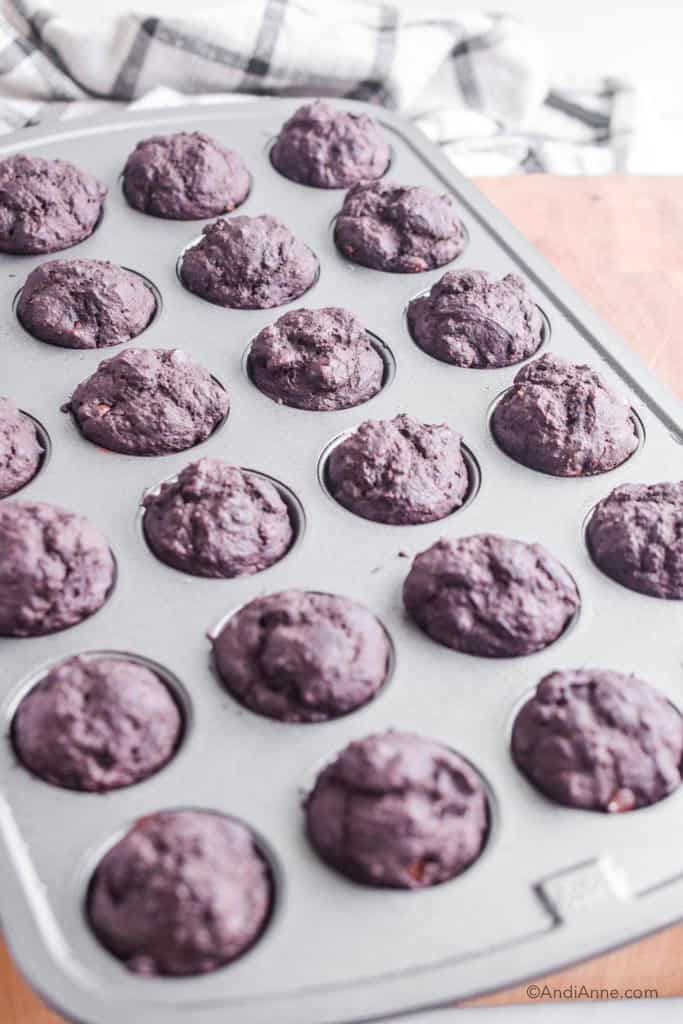 baked chocolate protein muffins in a mini-muffin pan