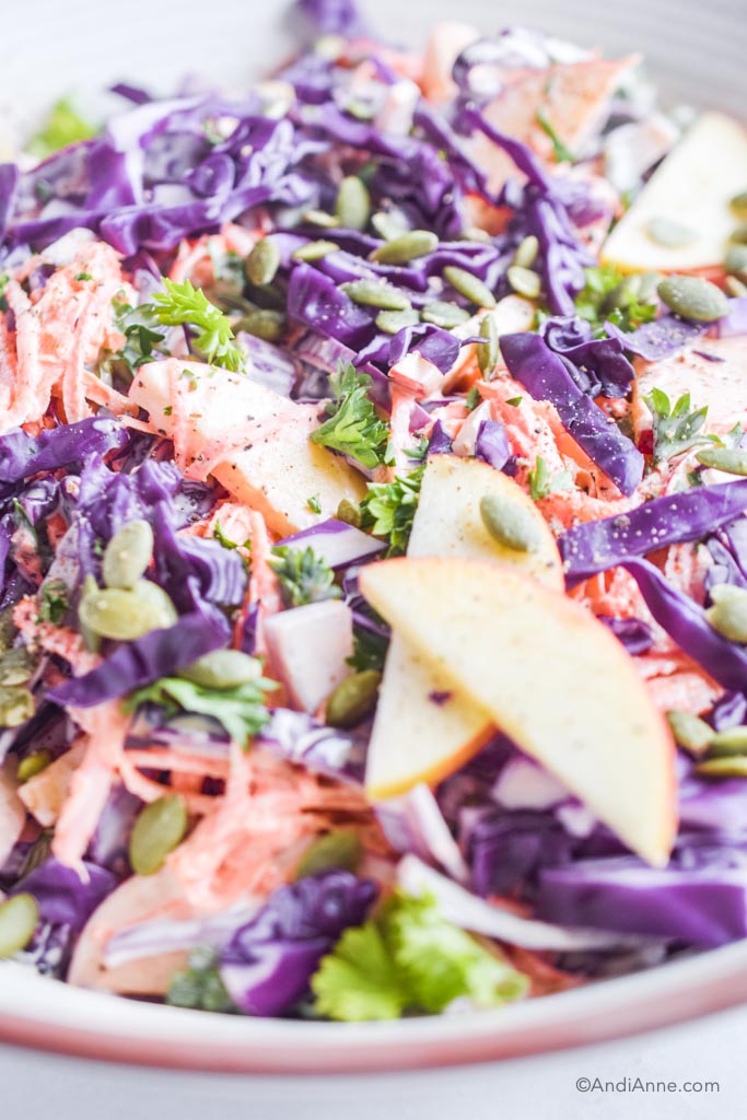 close up of Carrot apple cabbage coleslaw