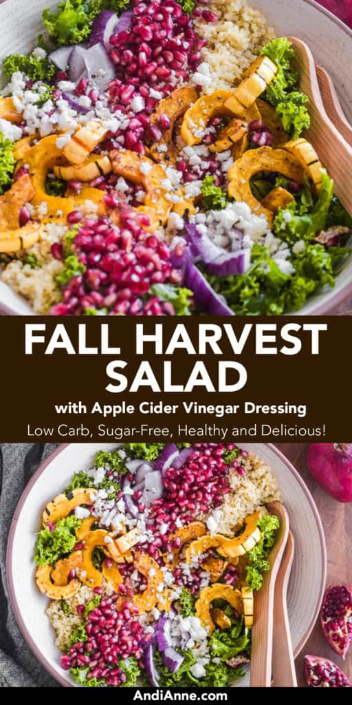 Fall harvest salad is made with delicata squash, pomegranate and kale. It's a beautiful feast for the eyes. This salad is loaded with incredible flavors and perfect to serve for any Fall celebration. This salad is topped with a simple homemade apple cider vinegar dressing.