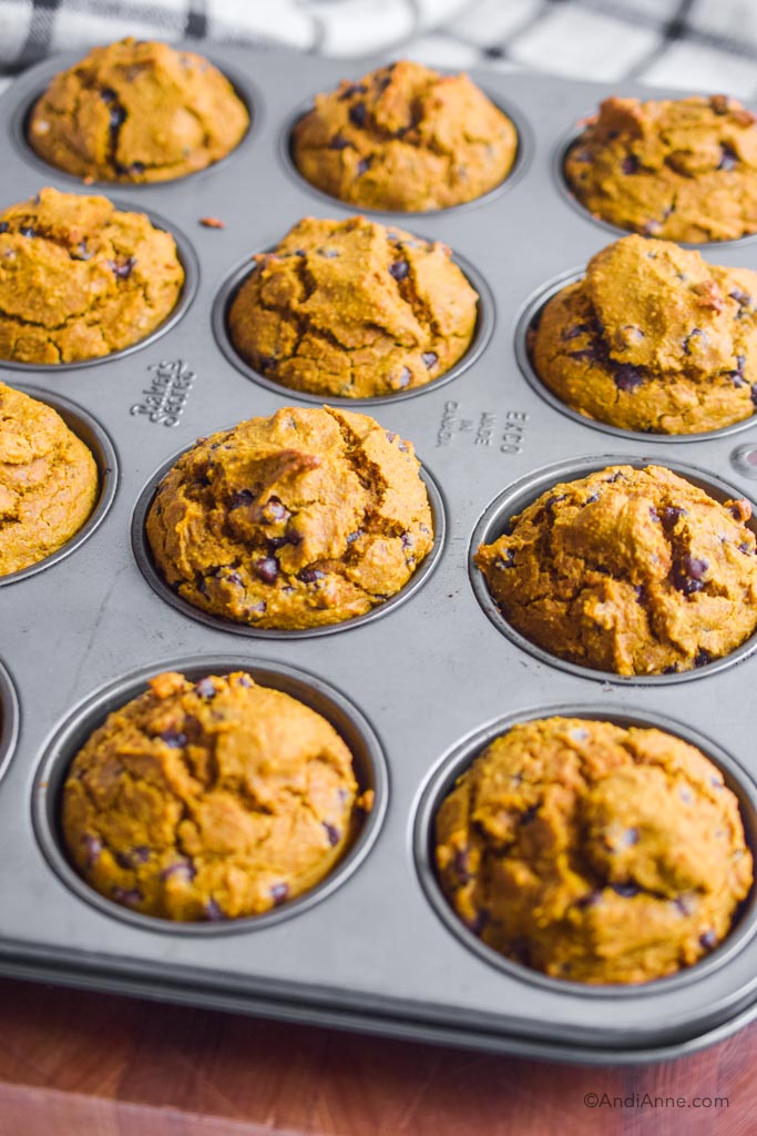 pumpkin chocolate chip muffins in the muffin pan