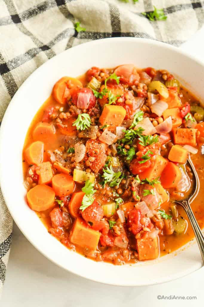 close up of soup with sweet potatoes, lentils, carrots, celery and chopped parsley on top. All in a white bowl with a spoon.