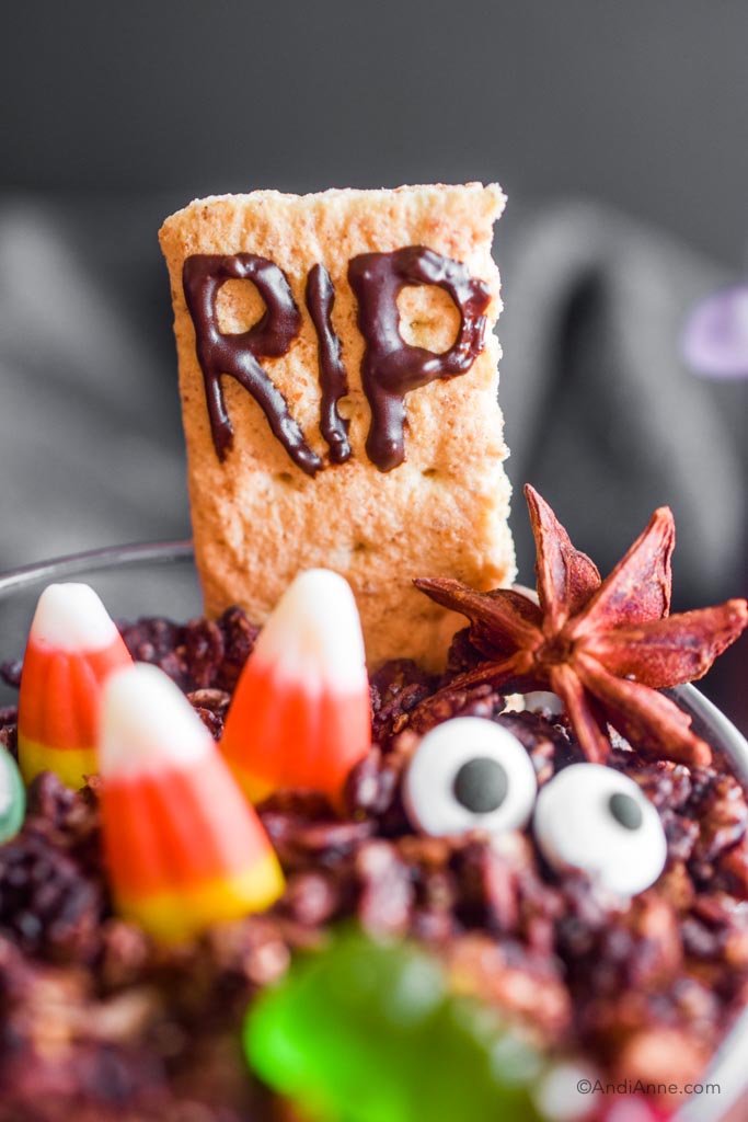 Close up of the graham cracker with chocolate "RIP" written on the front.