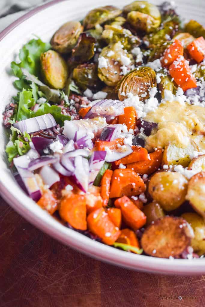 Close up detail of chopped red onion, brussels sprouts, carrots, potatoes and salad mix. Crumbled goat cheese sprinkle on top.