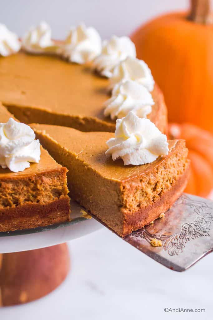 Pie spatula holding one slice of pumpkin cheesecake
