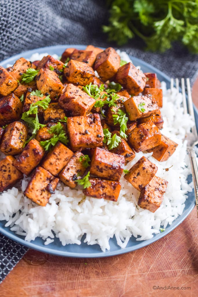 Close up of cooked pan fried tofu on a plate with white rice.