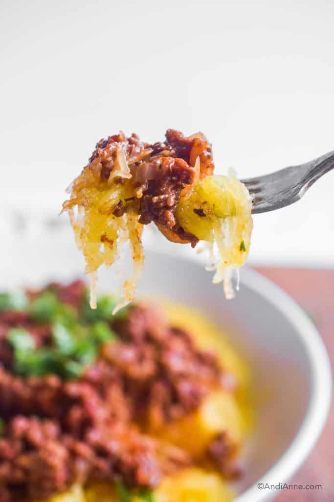 Fork holding spaghetti squash and sauce. Plate is blurred in the background.