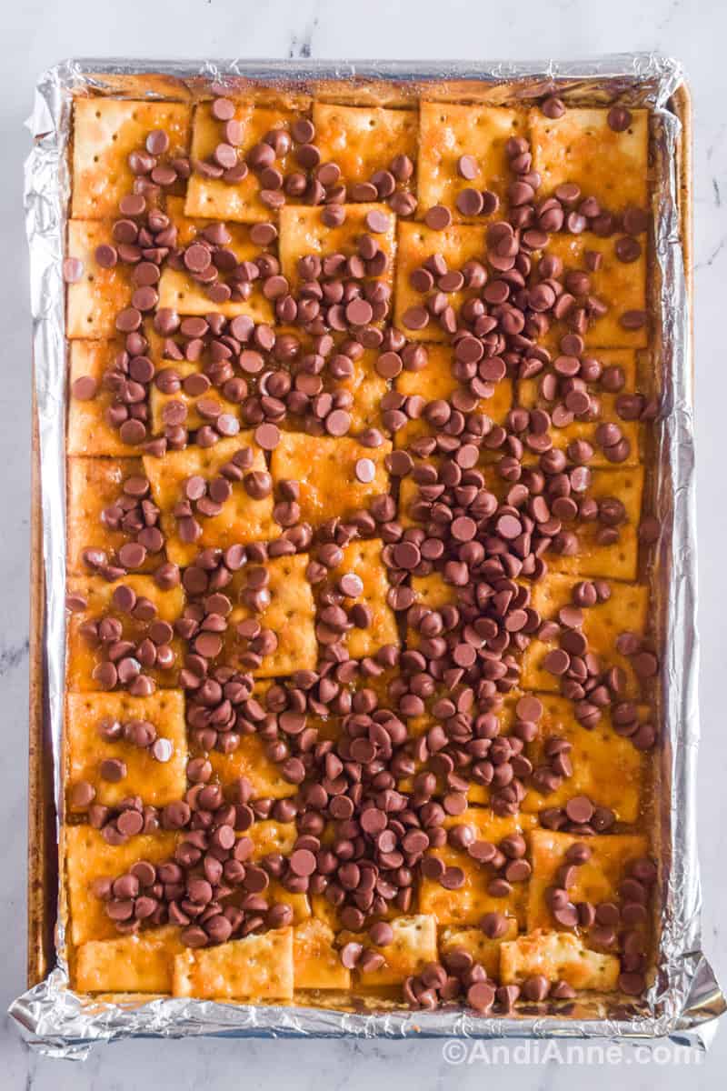 A baking sheet with saltine crackers with toffee and chocolate chips sprinkled on top.
