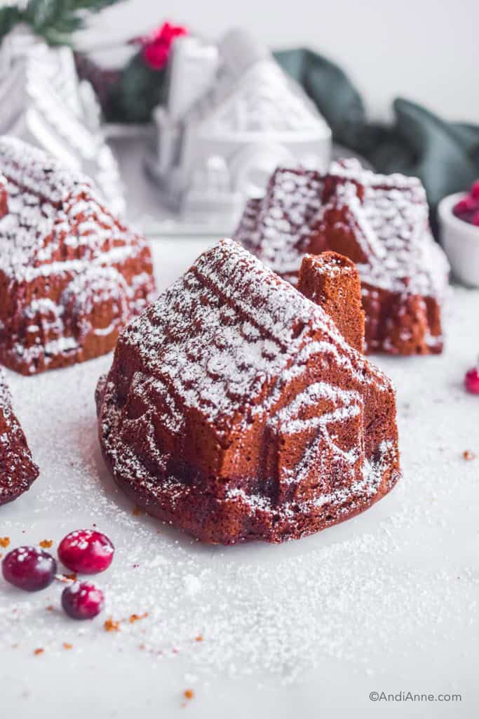 3 gingerbread house cakes with powdered sugar sprinkled overtop and cranberries around it. nordic ware gingerbread house duet pan in background.