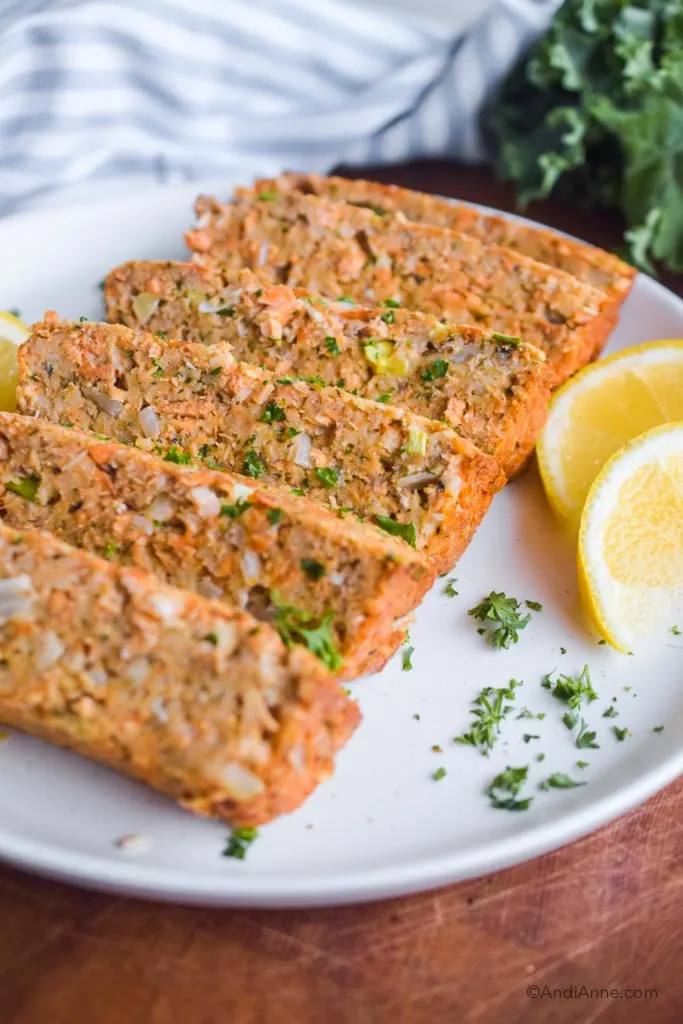Salmon Loaf Recipe Oatmeal Dandk Organizer