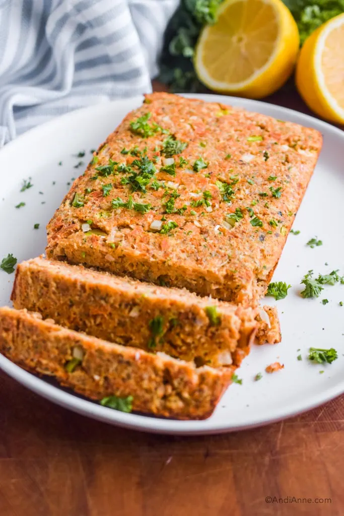 Salmon Loaf Recipe With Cream Of Mushroom Soup | Besto Blog