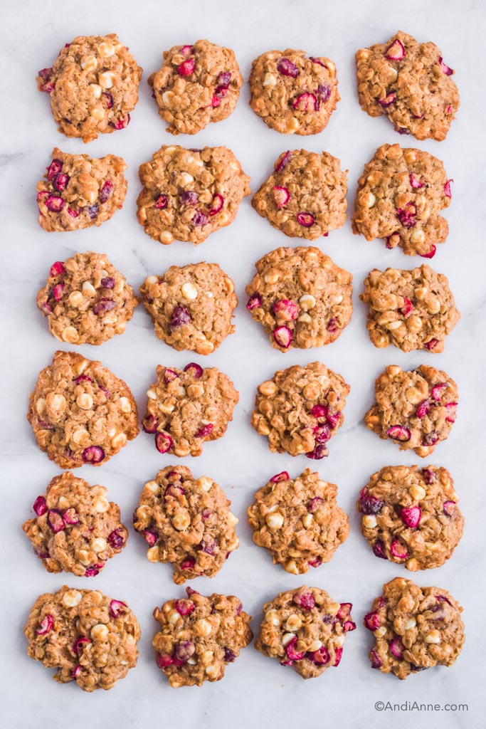 oatmeal cranberry cookies organized in rows on a white marble counter.