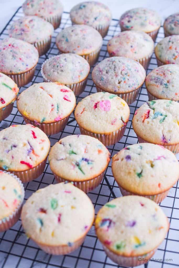 two dozen sprinkle cupcakes without icing on a baking rack.