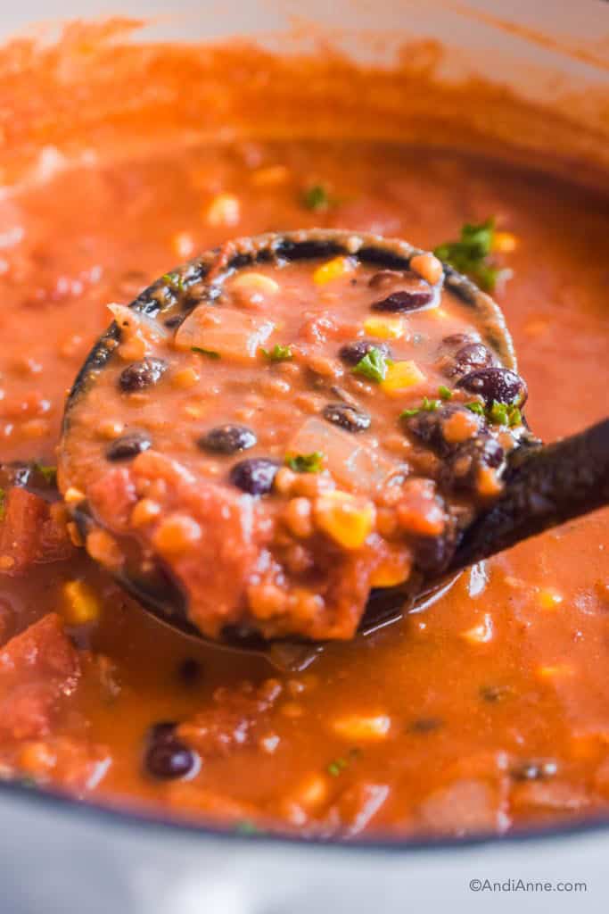 Close up of soup ladle scooping vegetarian tortilla soup.f