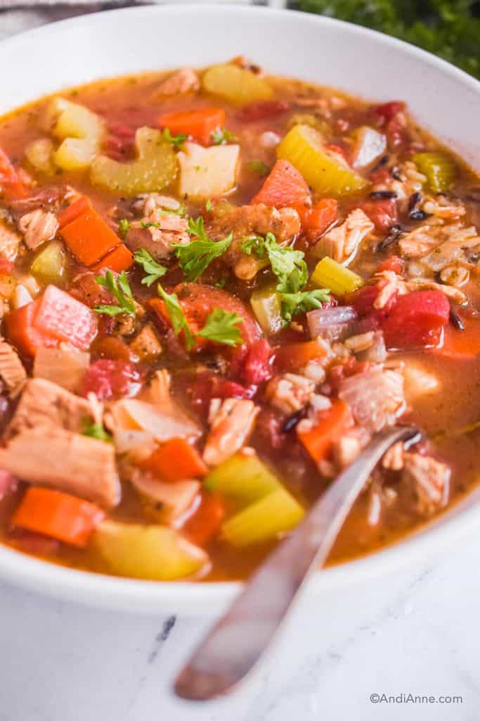 close up of vegetables, turkey and rice in bowl with parsley sprinkled on top