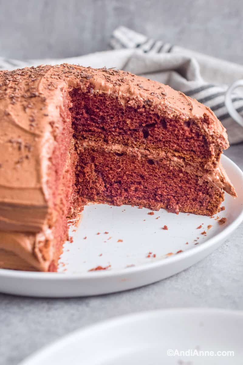 Devils food cake with large slice cut out sitting on a white plate.