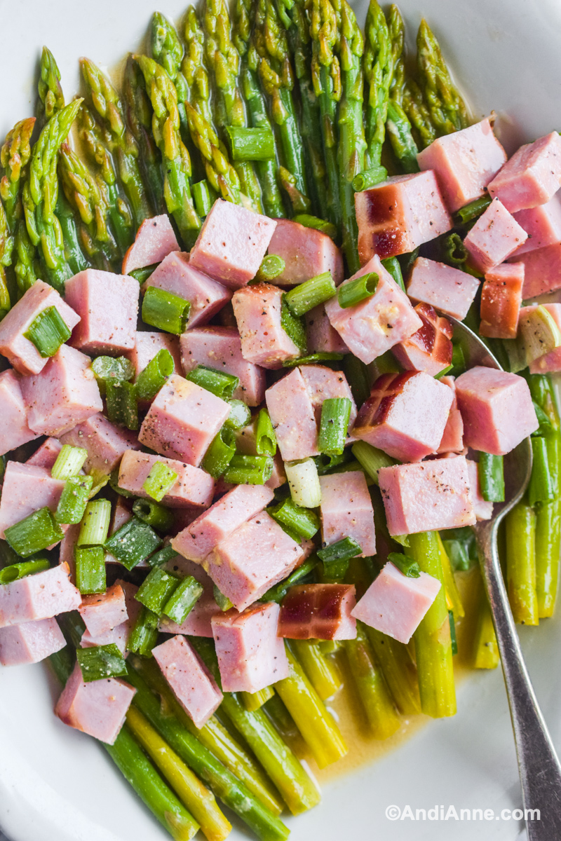 Marinated asparagus, chopped ham and green onion with a spoon.