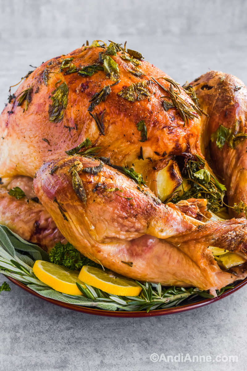 Close up of roasted turkey covered in baked herbs, on a plate with sliced lemon and fresh herbs on the bottom.