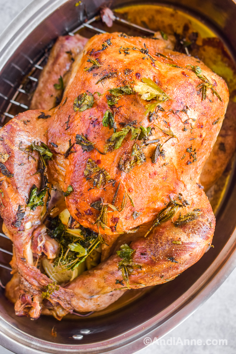 Close up of roasted turkey in pan with herbs on top.