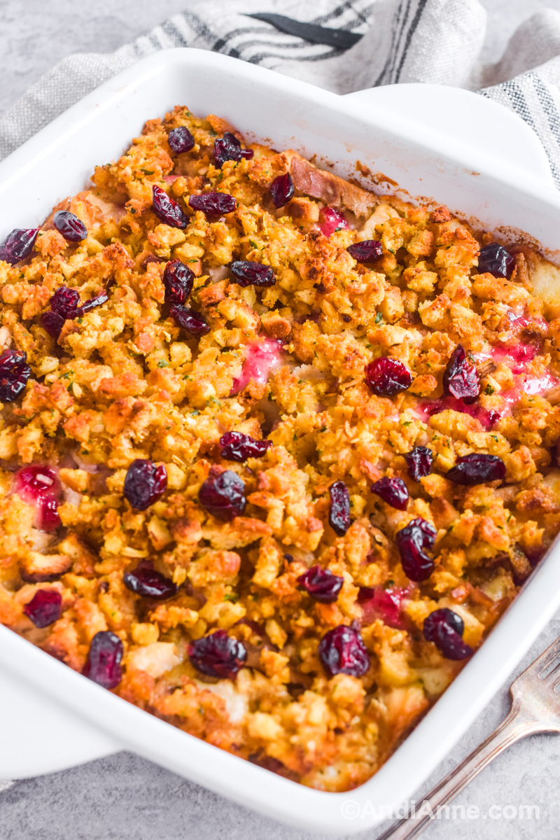 Close up side angle of turkey casserole with dried cranberries on top.