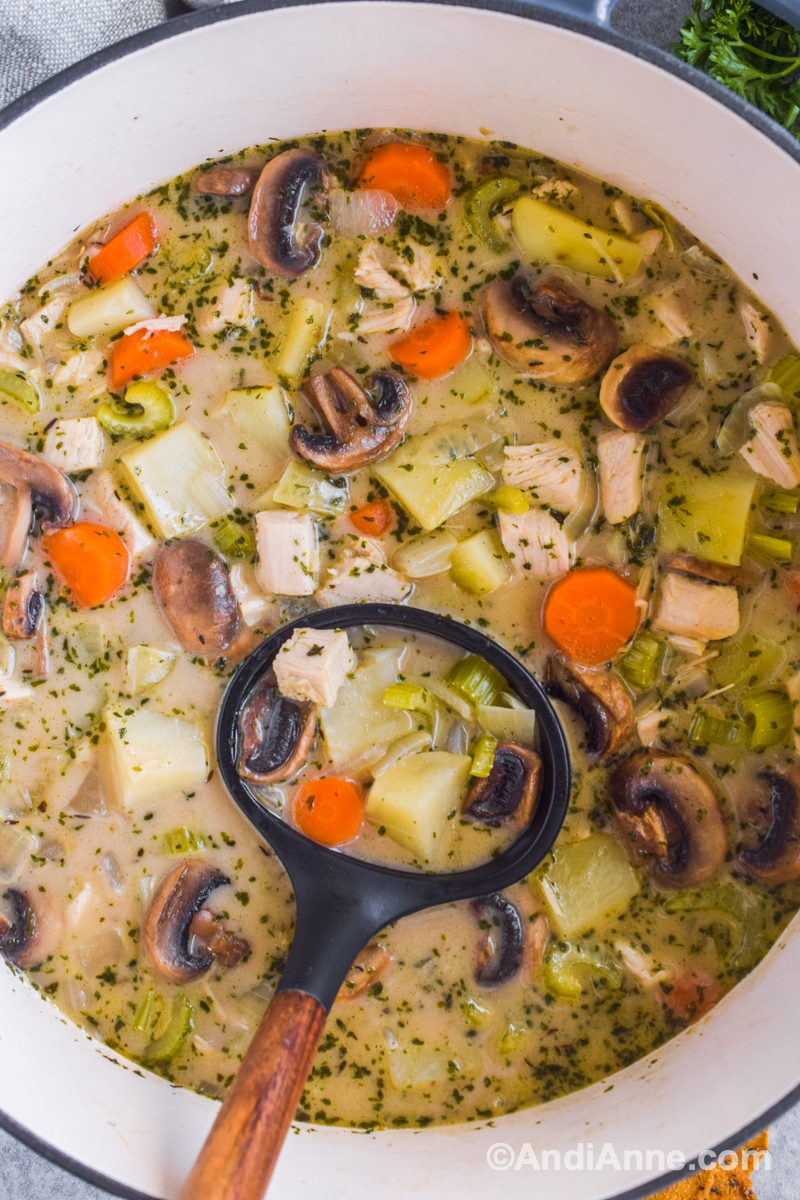 Close up of soup pot and ladle with turkey, mushrooms, carrots potatoes and celery.