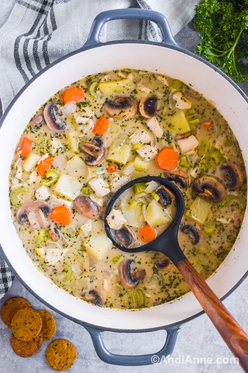 Turkey stew in pot with mushrooms, potatoes, carrots and celery. Soup ladle scoops the soup. Crackers and parsley surround the bowl.
