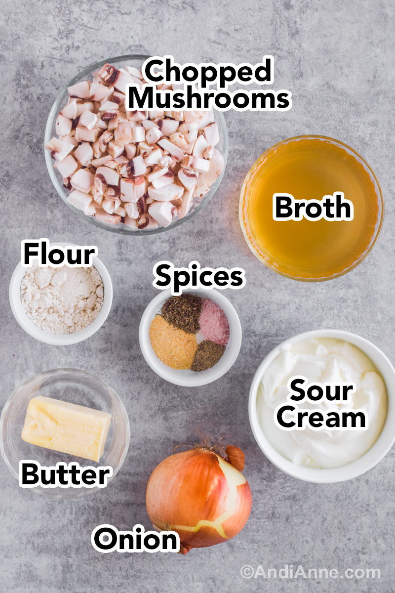 Recipe ingredients on a counter including bowl of chopped mushrooms, broth, flour, spices, sour cream, butter and yellow onion.