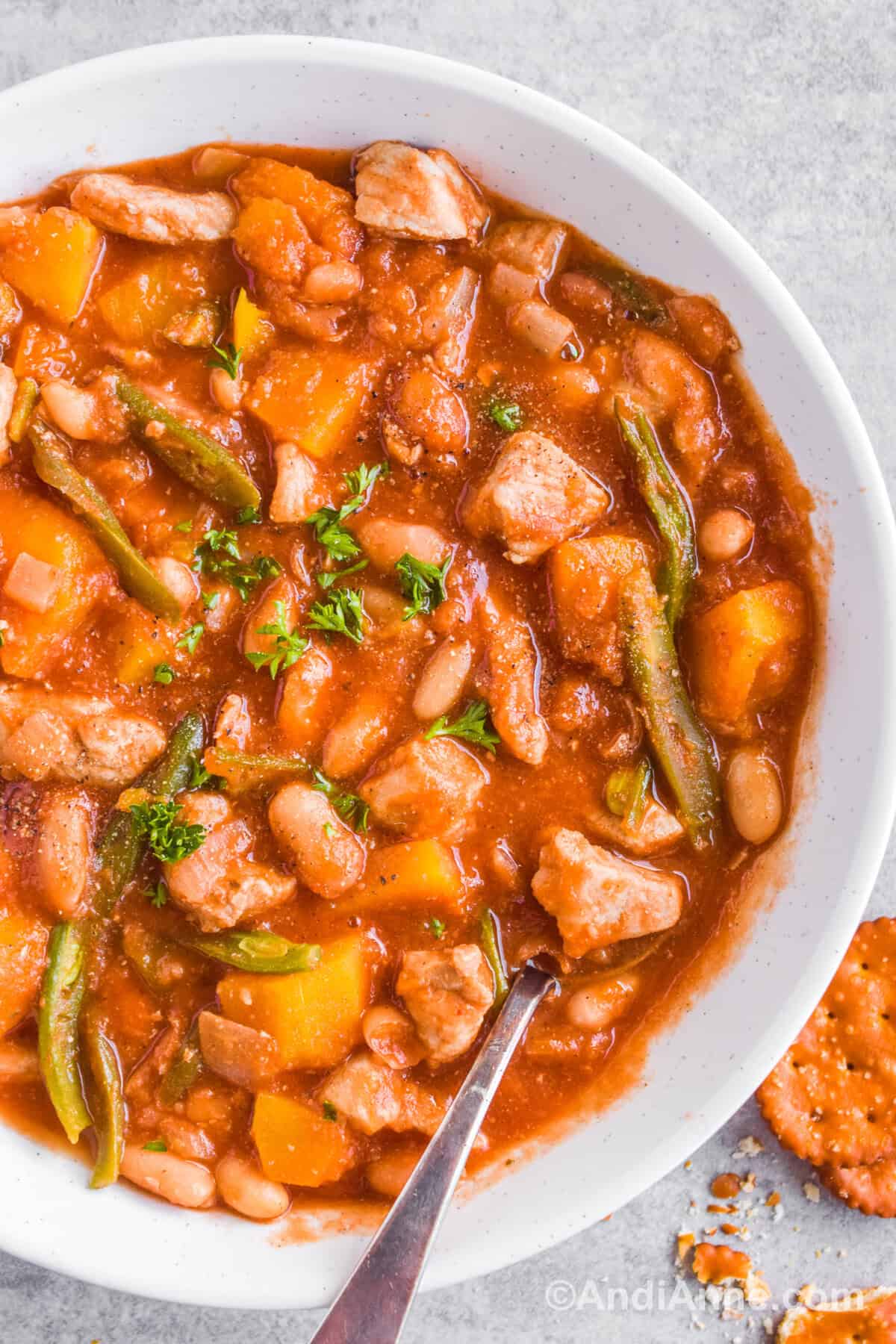 Close up of pork and squash stew in a white bowl with a spoon and crackers beside bowl.