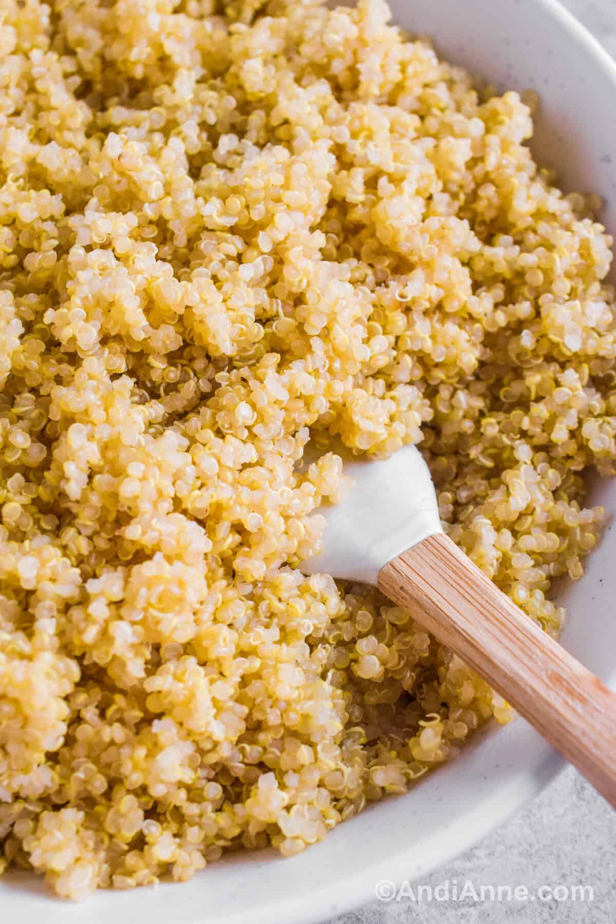 Close up of quinoa in a bowl with a spatula near the bottom.