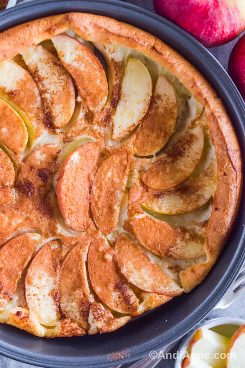 Close up of a cake pan with german apple pancake inside.