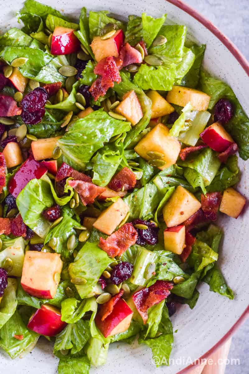Close up of the balsamic apple bacon salad with pumpkin seeds and dried cranberries.