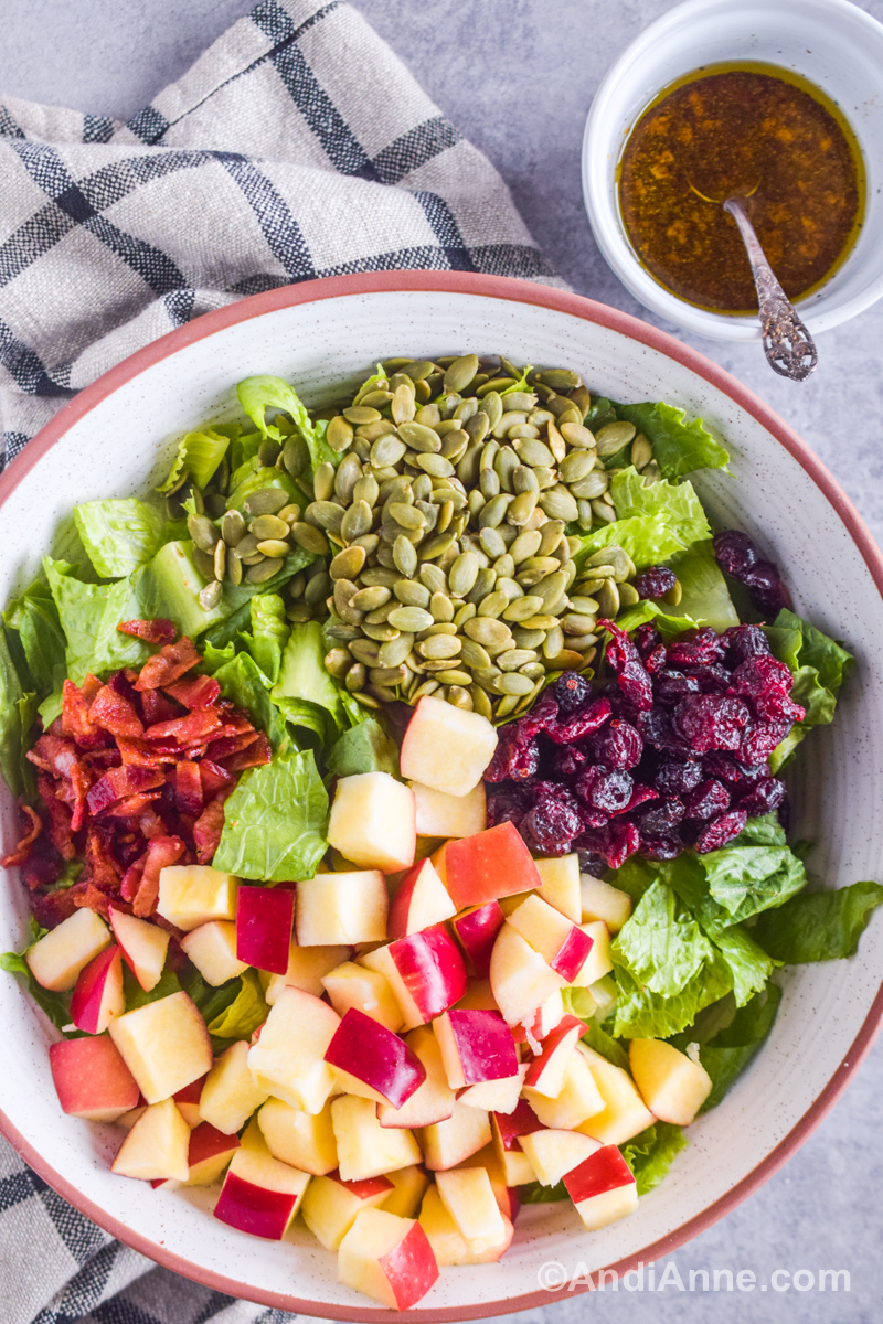 Looking down at a large salad bowl with chopped apples, bacon, pumpkin seeds, and dried cranberries in separate groups on top of a bed of lettuce. Salad dressing with a spoon in a separate small bowl.