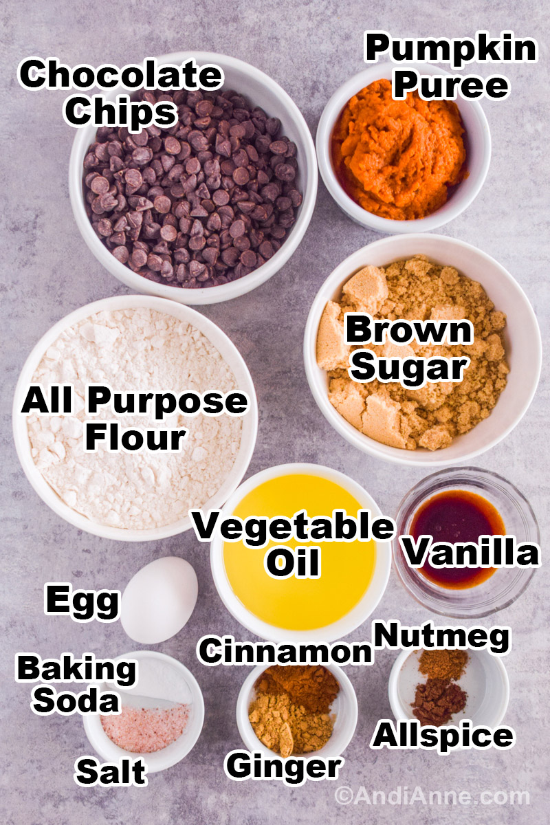 Recipe ingredients on the counter including bowls of chocolate chips, pumpkin puree, flour, brown sugar, oil, vanilla, spices, baking soda, an egg and salt.