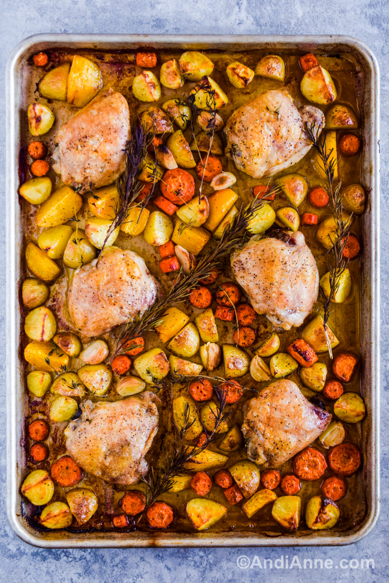 Looking down at roasted chicken thighs with vegetables, and rosemary on a baking sheet.