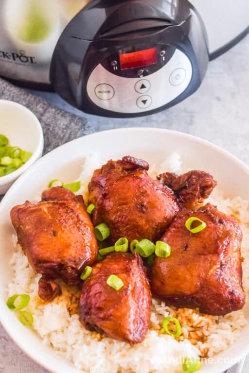 Slow Cooker Soy Sauce Chicken Andi Anne