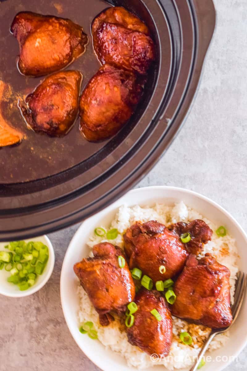 Looking down at a crockpot with chicken thighs and a bowl with rice and chicken thighs.