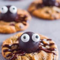 Close up of spider cookies on the counter.