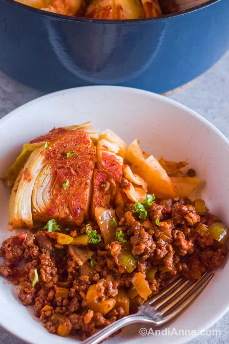 A white bowl with ground beef mixture and sliced cabbage with a fork.