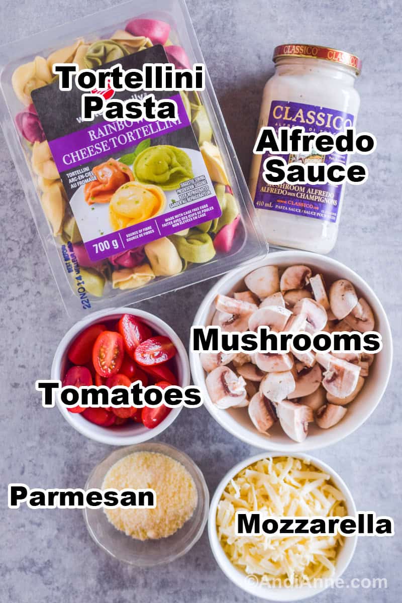 Recipe ingredients on the counter including fresh tortellini rainbow pasta, a jar of alfredo sauce, chopped tomatoes, and a bowl of sliced mushrooms, bowl of parmesan and mozzarella.