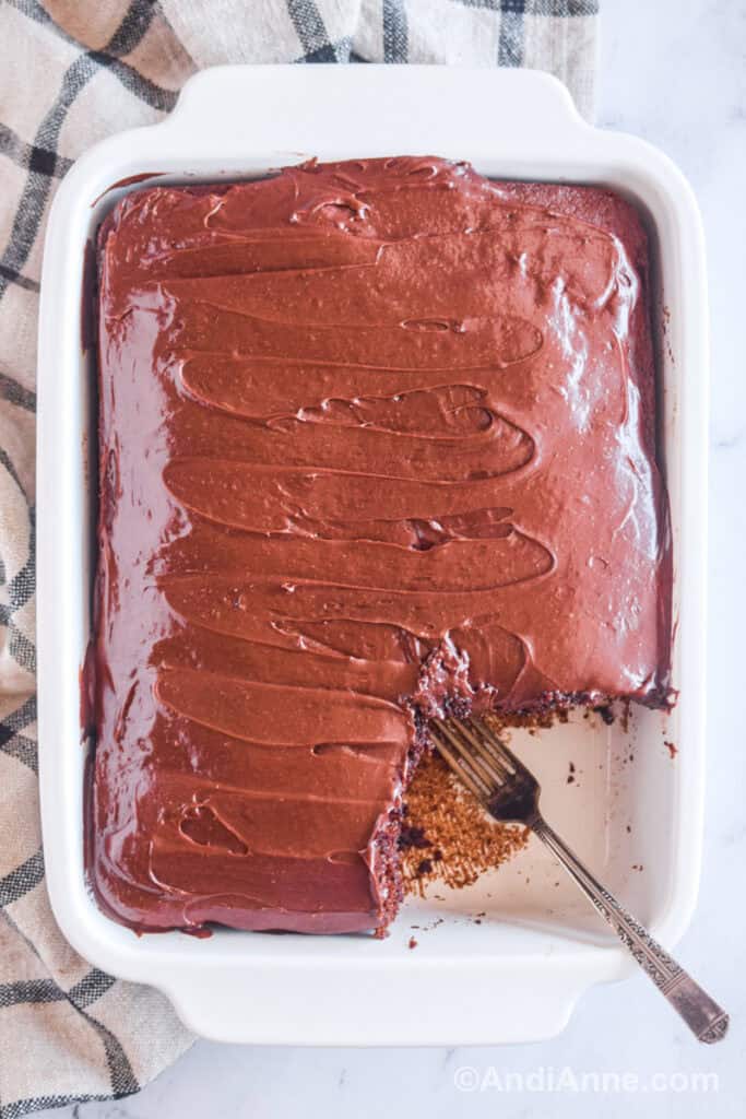 Chocolate Mayonnaise Cake • The Pink Brain